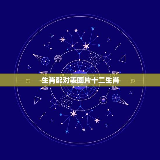 生肖配对表图片十二生肖,年份生肖配对表 生肖配对表图片十二生肖,年份生肖配对表