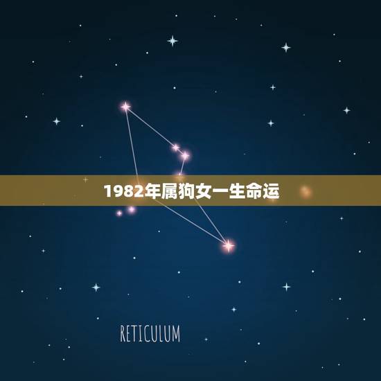 1982年属狗女一生命运,属狗女几月出生最旺夫 1982年属狗女一生命运,属狗女几月出生最旺夫
