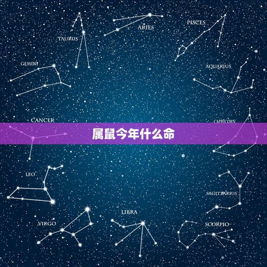 属鼠今年什么命,2022 年属鼠今年什么命 属鼠今年什么命,2022 年属鼠今年什么命