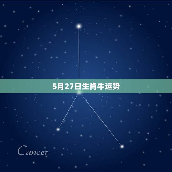 5月27日生肖牛运势，2009年属牛运程 佩带什么样的吉祥物好？