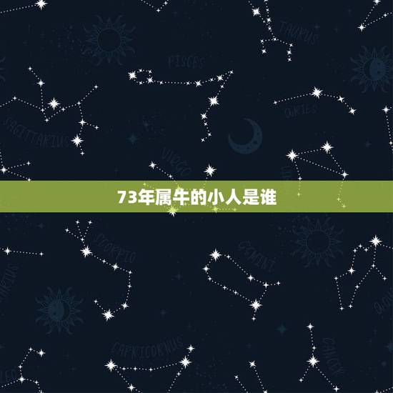 73年属牛的小人是谁，73年属牛一生三灾难