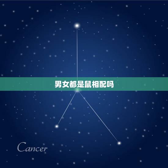 男女都是鼠相配吗,男女属鼠结婚好吗 男女都是鼠相配吗,男女属鼠结婚好吗