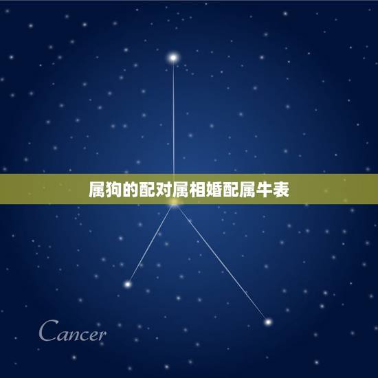 属狗的配对属相婚配属牛表,属狗和什么属相最配 属狗的属相婚配表大全 属狗的配对属相婚配属牛表,属狗和什么属相最配 属狗的属相婚配表大全