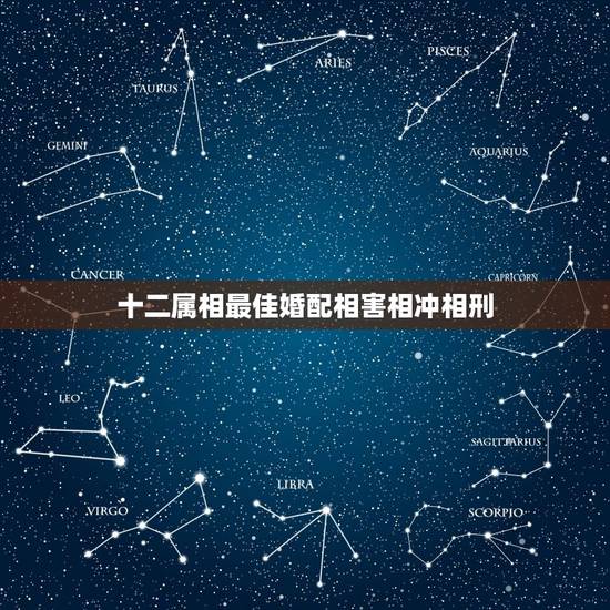十二属相最佳婚配相害相冲相刑，十二地支中的相刑、相害、相冲是什么意思？