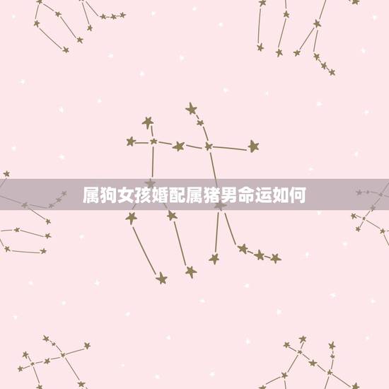 属狗女孩婚配属猪男命运如何，男孩子属狗与女孩属猪婚配好不好