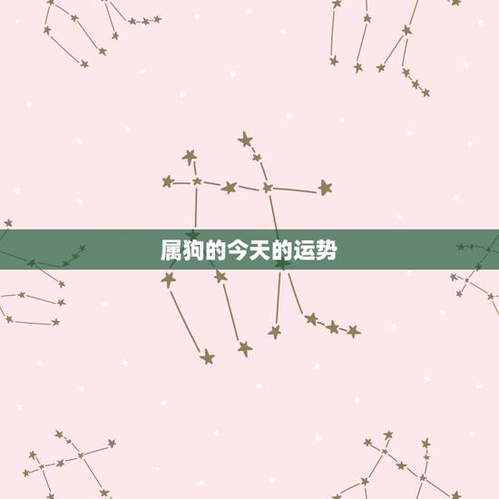 属狗的今天的运势，82年属狗今天的运气