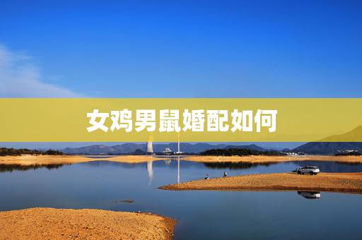 女鸡男鼠婚配如何,男属鸡女属鼠,属相配吗?结婚好不好?婚后是怎么样的啊 女鸡男鼠婚配如何,男属鸡女属鼠,属相配吗?结婚好不好?婚后是怎么样的啊