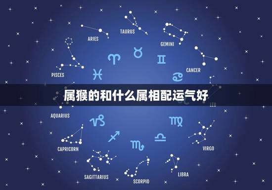 属猴的和什么属相配运气好，属猴的男人和什么属相最配