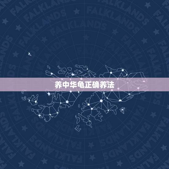 养中华龟正确养法，中华龟的饲养方法？