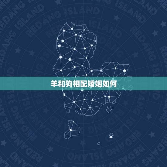 羊和狗相配婚姻如何，羊和狗在一起财运好吗