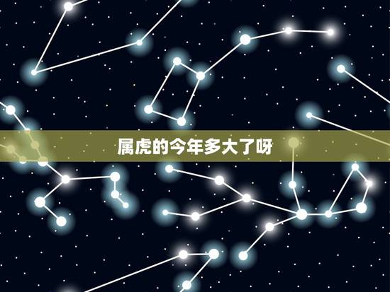 属虎的今年多大了呀，属虎的今年多大2022