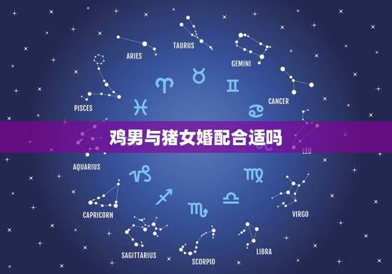 鸡男与猪女婚配合适吗，鸡女+猪男=婚配？