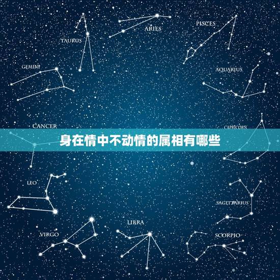 身在情中不动情的属相有哪些，痴心难改，深情倾诉，被旧爱感动，余生恩恩爱
