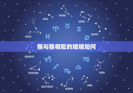 猴与猴相配的婚姻如何,猪和猴相配婚姻如何 猴与猴相配的婚姻如何,猪和猴相配婚姻如何