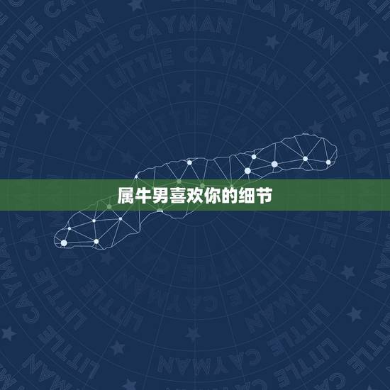 属牛男喜欢你的细节，属牛的软肋是什么