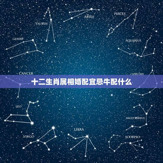 十二生肖属相婚配宜忌牛配什么，牛和什么兄弟姐妹属相最配