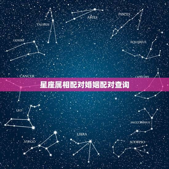 星座属相配对婚姻配对查询,星座和属相配对 星座属相配对婚姻配对查询,星座和属相配对