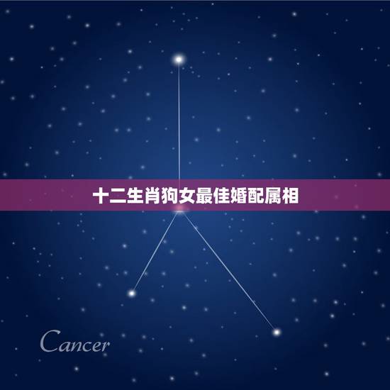 十二生肖狗女最佳婚配属相，女属狗的属相婚配表