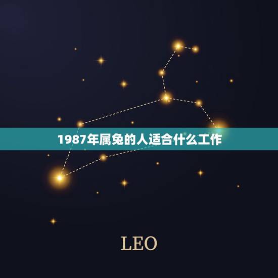 1987年属兔的人适合什么工作，1987年属兔人的命运与财运