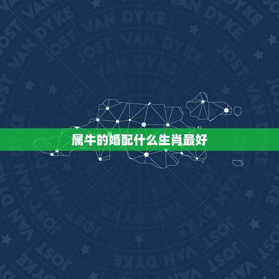 属牛的婚配什么生肖最好,属蛇的女人与什么属相的男人相配 属牛的婚配什么生肖最好,属蛇的女人与什么属相的男人相配
