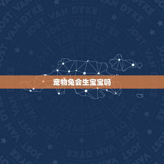 宠物兔会生宝宝吗,兔子生小兔视频 宠物兔会生宝宝吗,兔子生小兔视频