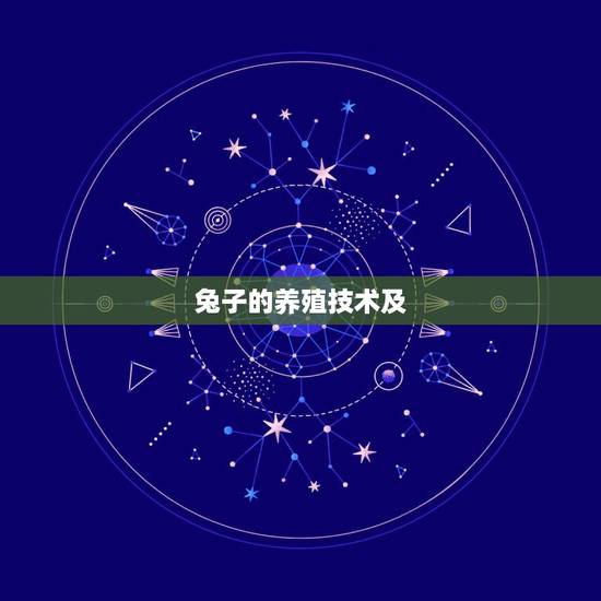 兔子的养殖技术及 ,饲养兔子的正确 兔子的养殖技术及 ,饲养兔子的正确