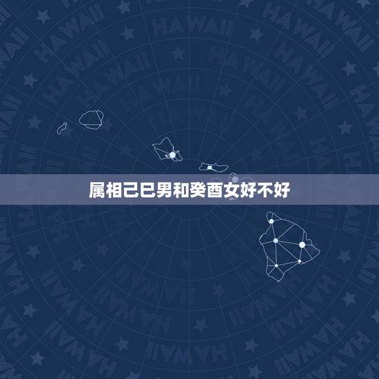 属相己巳男和癸酉女好不好,八字合婚 男:己巳 癸酉 丙子 女:戌辰 甲 属相己巳男和癸酉女好不好,八字合婚 男:己巳 癸酉 丙子 女:戌辰 甲