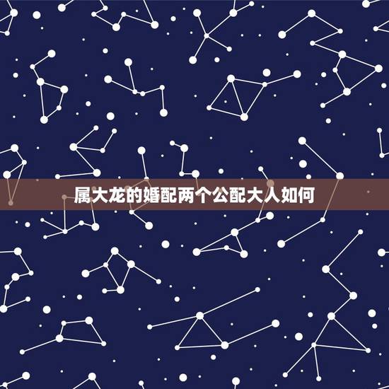 属大龙的婚配两个公配大人如何，属龙的和属猪能相配吗