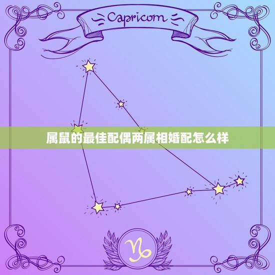 属鼠的最佳配偶两属相婚配怎么样,属鼠的属相婚配表 属鼠的最佳配偶两属相婚配怎么样,属鼠的属相婚配表