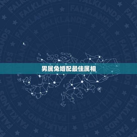 男属兔婚配最佳属相，男属兔跟什么生肖最配