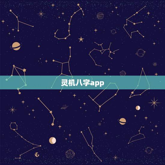 灵机八字app，下载灵机妙算软件后如何选择相应的网站联网