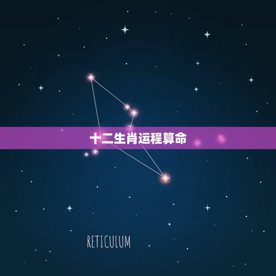 十二生肖运程算命,算命2010运程 十二生肖运程算命,算命2010运程