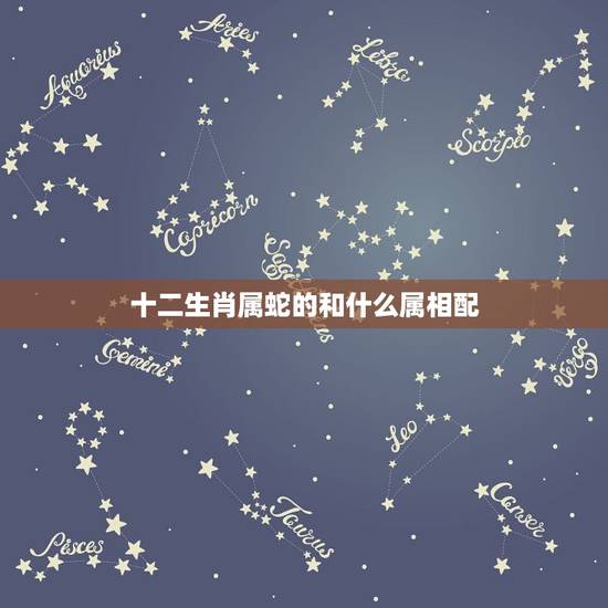 十二生肖属蛇的和什么属相配，属蛇和什么属相最配