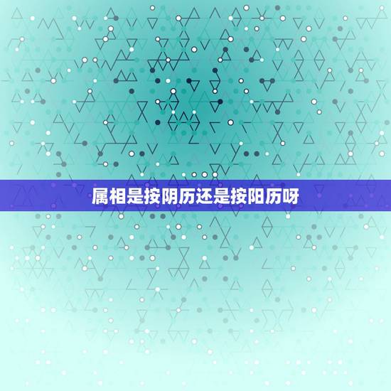 属相是按阴历还是按阳历呀，属相应该按阴历还是阳历啊？