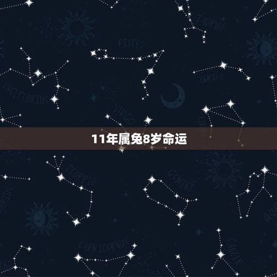 11年属兔8岁命运，2011属兔的男孩命好不好
