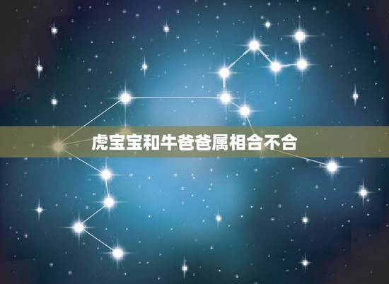 虎宝宝和牛爸爸属相合不合，牛宝宝忌什么属相父母