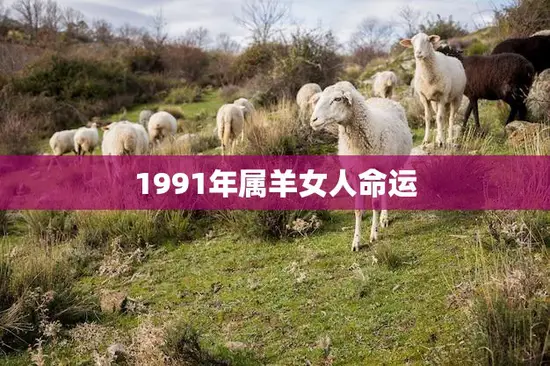 1991年属羊女人命运(如何把握自己的未来) 1991年属羊女人命运(如何把握自己的未来)
