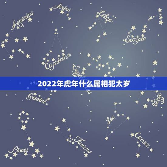 2022年虎年什么属相犯太岁,2022年最旺的生肖 2022年虎年什么属相犯太岁,2022年最旺的生肖