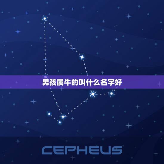 男孩属牛的叫什么名字好，属牛男孩最吉利的名字