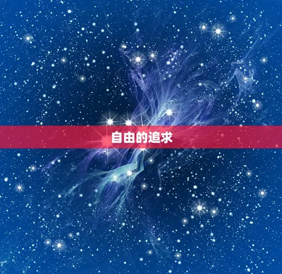 自由的追求 自由的追求
