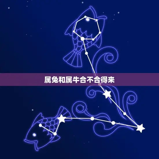 属兔和属牛合不合得来 属兔和属牛合不合得来