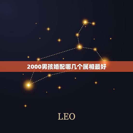 2000男孩婚配哪几个属相最好，属龙的和什么属相最配 属龙人的婚配表
