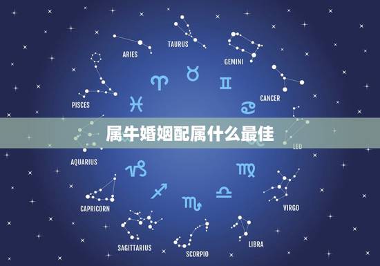 属牛婚姻配属什么最佳,属牛的找什么属相的对象最好 属牛婚姻配属什么最佳,属牛的找什么属相的对象最好