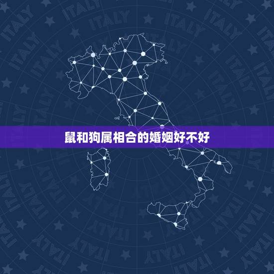 鼠和狗属相合的婚姻好不好，82年属狗女和72年属鼠男婚配合适吗