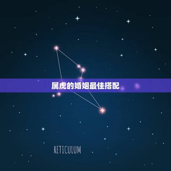 属虎的婚姻最佳搭配，属虎最佳婚配
