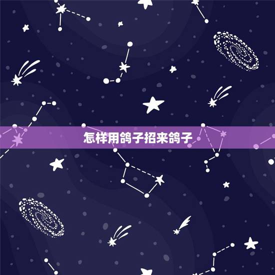 怎样用鸽子招来鸽子，怎么样可以引别人的鸽子