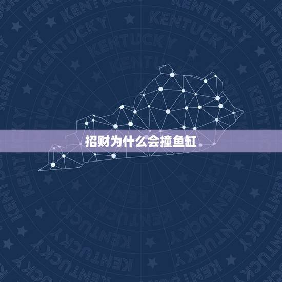 招财为什么会撞鱼缸，我家的招财鱼为什么要撞水族箱自杀