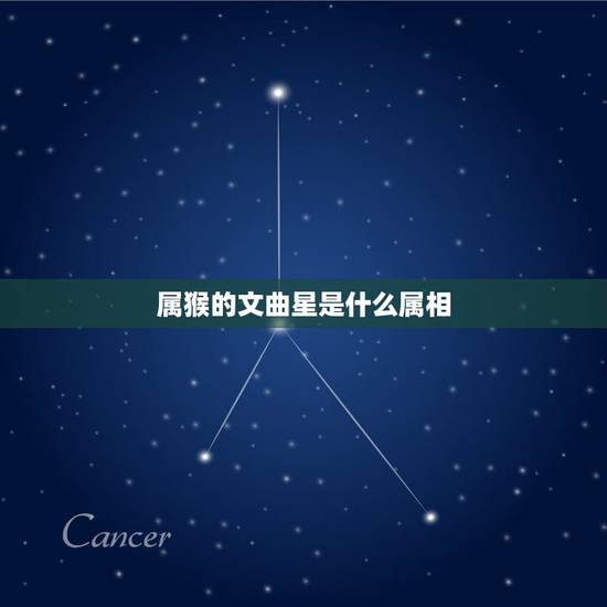 属猴的文曲星是什么属相，属猴和什么属相犯冲