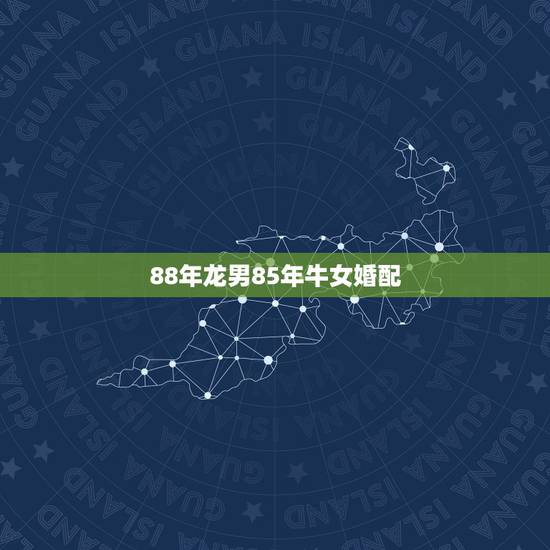 88年龙男85年牛女婚配,85年女牛88年龙男婚配 88年龙男85年牛女婚配,85年女牛88年龙男婚配