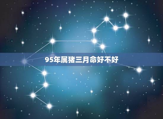 95年属猪三月命好不好，属猪生于1995年三月初七什么命